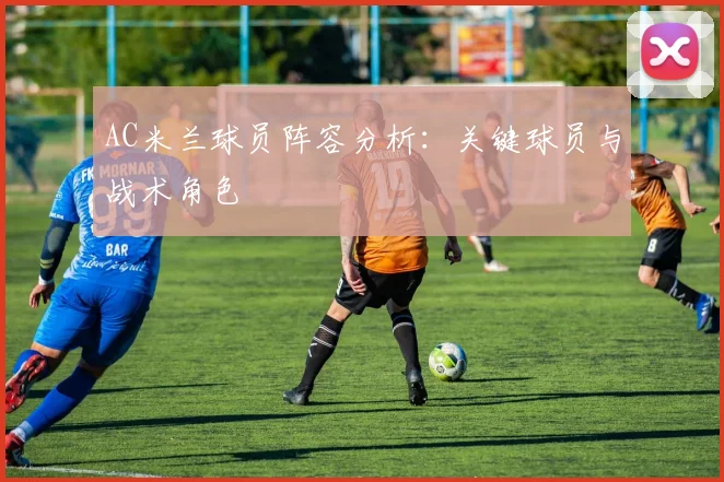 AC米兰球员阵容分析：关键球员与战术角色